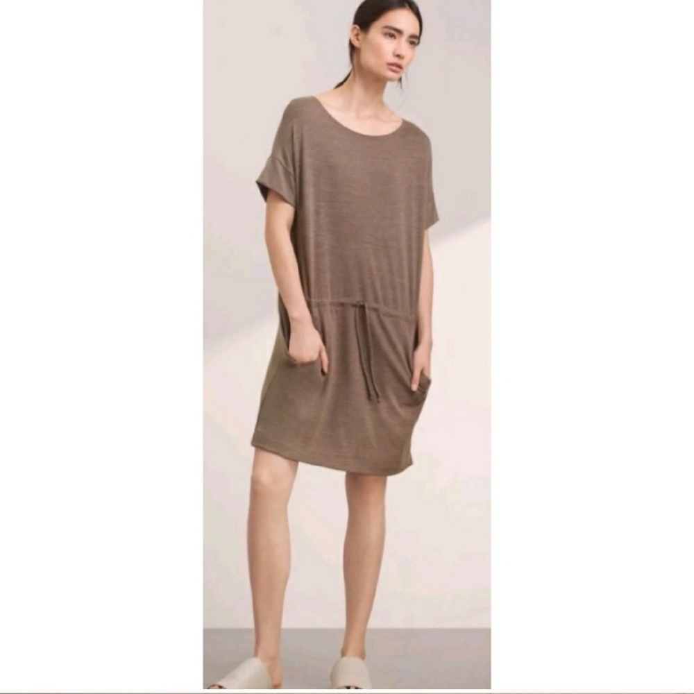 Aritzia Wilfred Free Drawstring Dress
